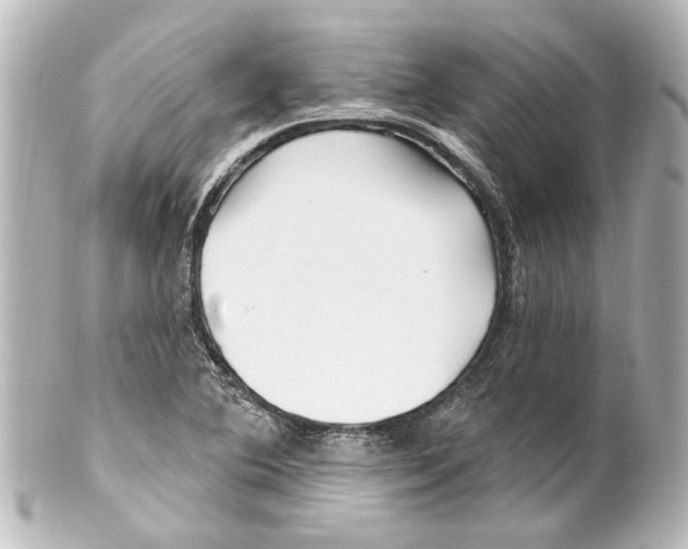X0000100211364200806271654