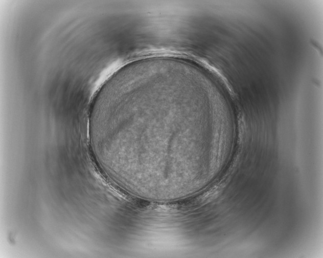 X0000100211365200806271654