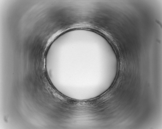 X0000100211366200806271654