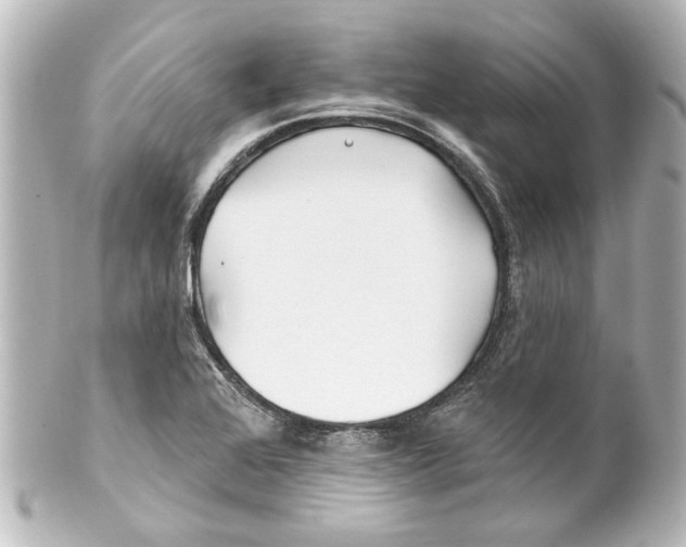 X0000100211368200806271654