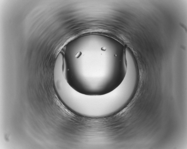 X0000100211369200806271654