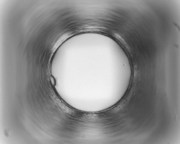 X0000100211370200806271654