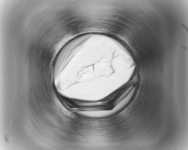 X0000100211371200806271654