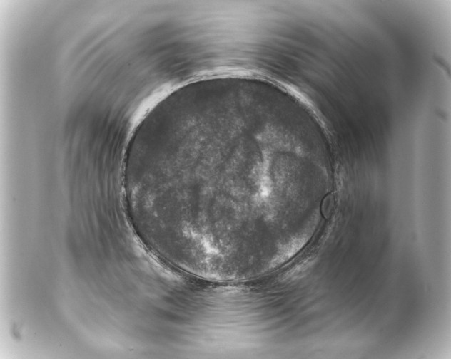 X0000100211373200806271654