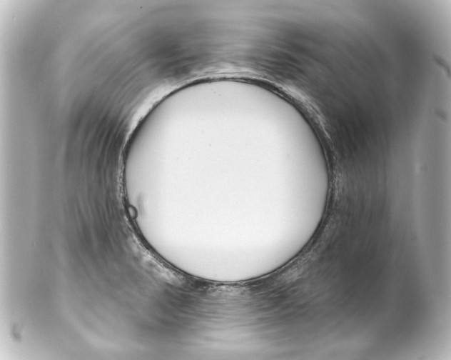 X0000100211374200806271654