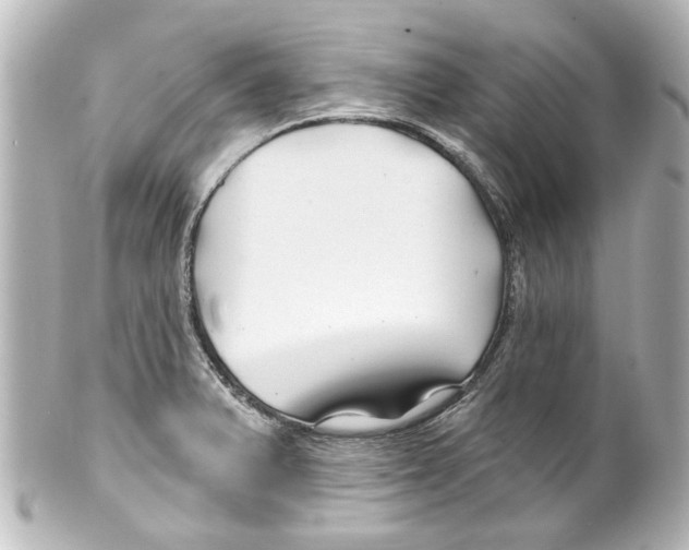 X0000100211375200806271654