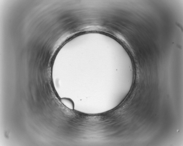 X0000100211376200806271654