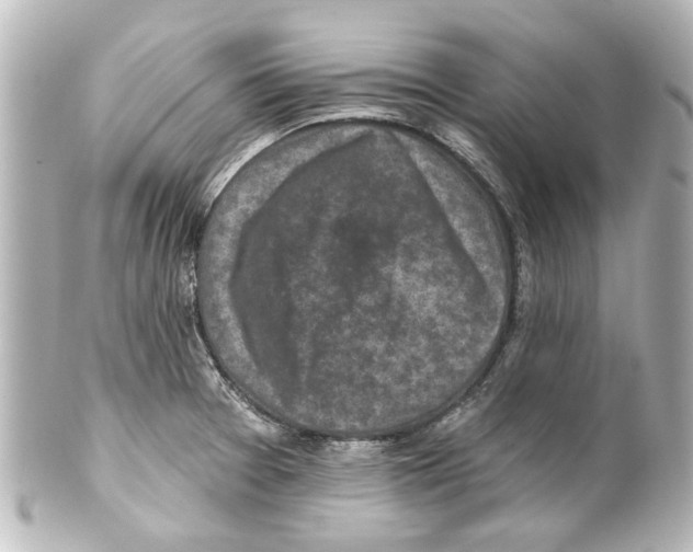 X0000100211377200806271654