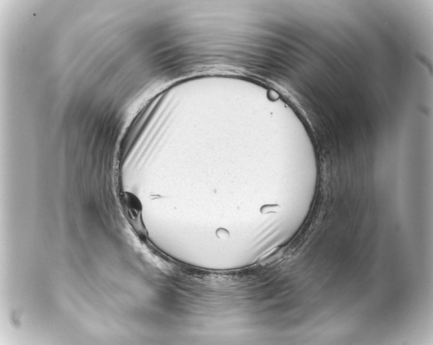 X0000100211379200806271654