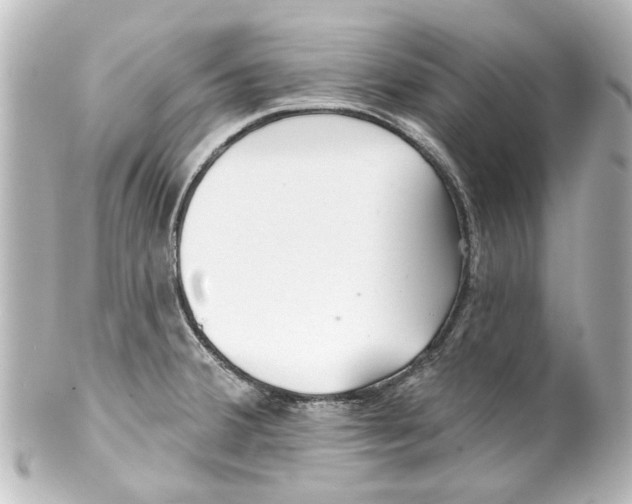 X0000100211380200806271654