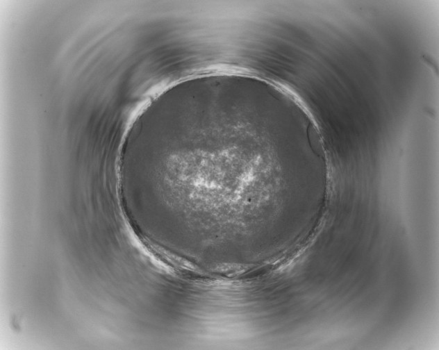 X0000100211381200806271654