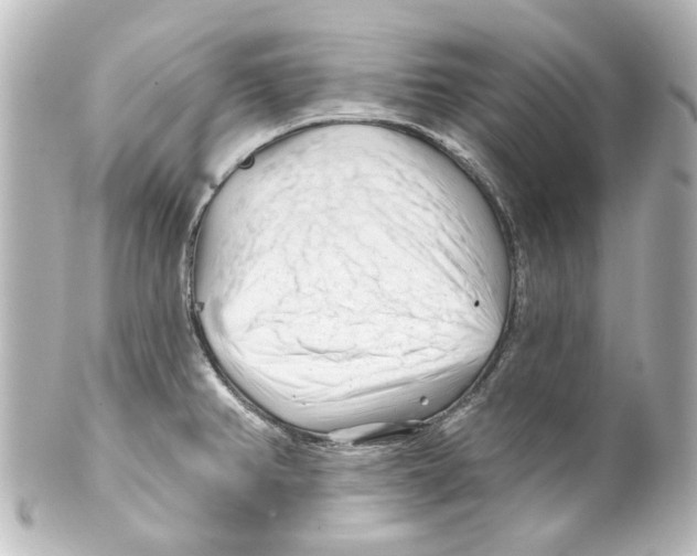 X0000100211382200806271654