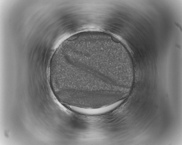 X0000100211383200806271654