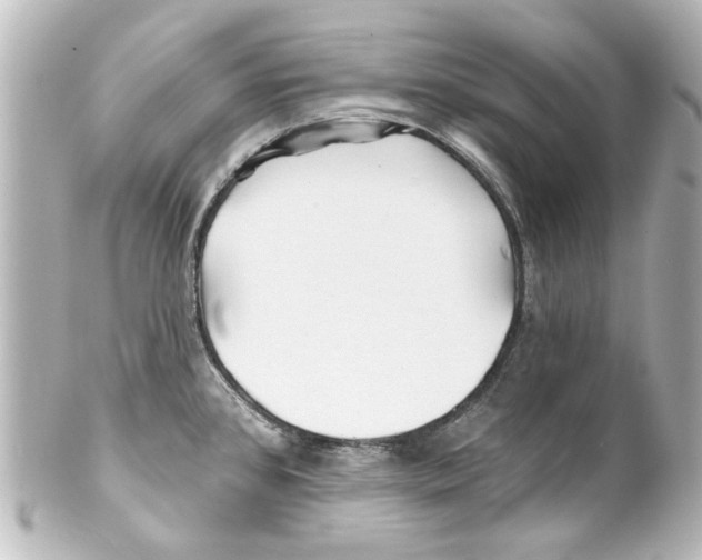 X0000100211384200806271654