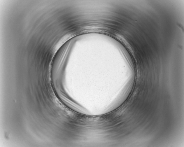 X0000100211386200806271654