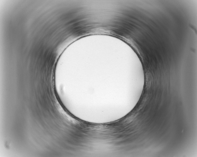 X0000100211387200806271654