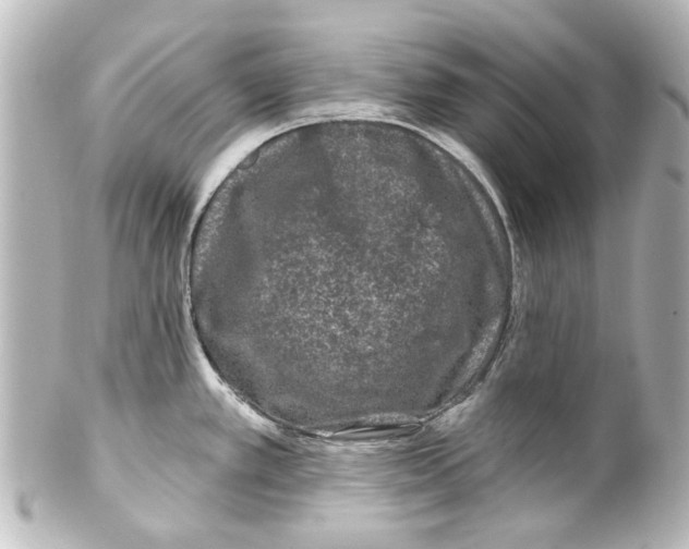 X0000100211389200806271654
