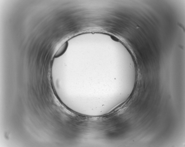 X0000100211390200806271654