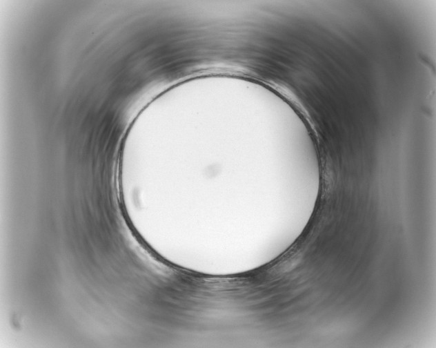 X0000100211391200806271654