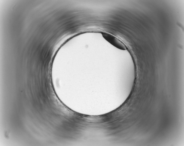 X0000100211392200806271654