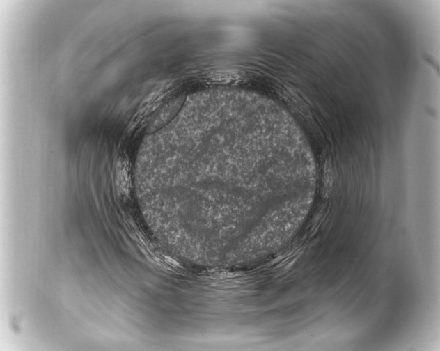 X0000100211394200806271653