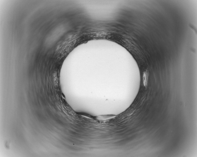 X0000100211395200806271653