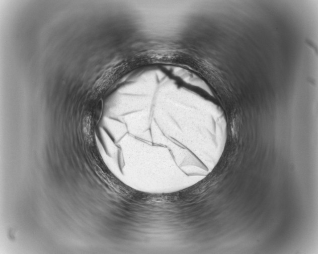 X0000100211396200806271653