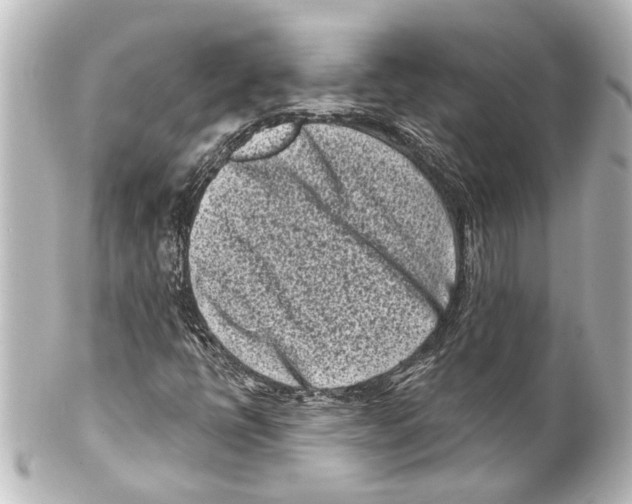 X0000100211398200806271653