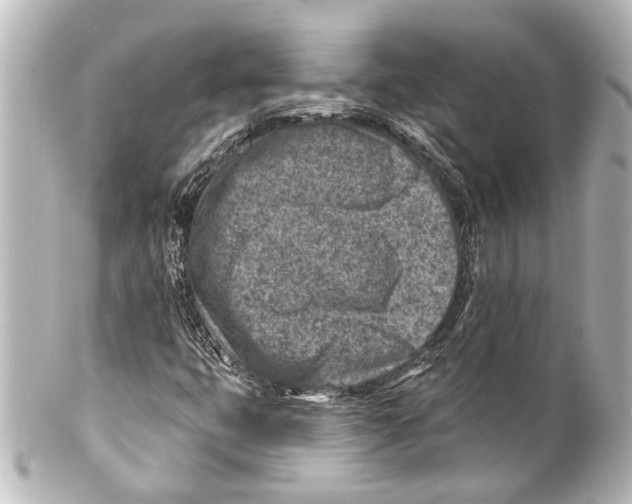 X0000100211399200806271653