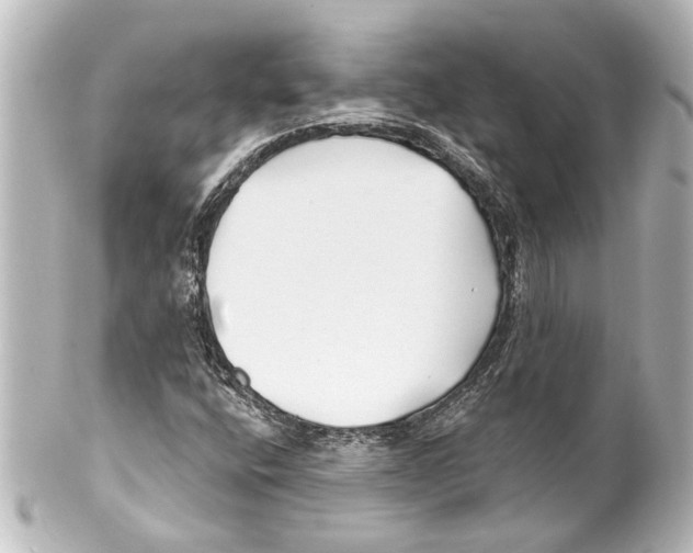 X0000100211400200806271653
