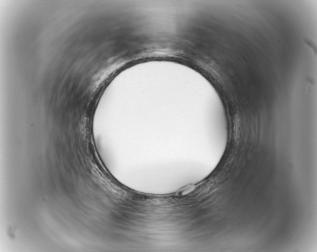 X0000100211404200806271654