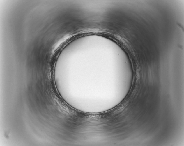 X0000100211406200806271654