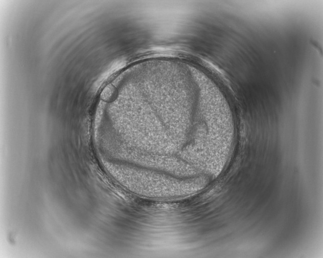 X0000100211411200806271654