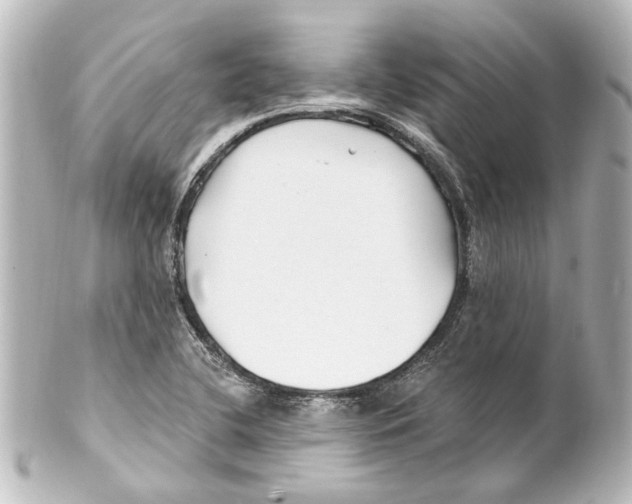 X0000100211412200806271654