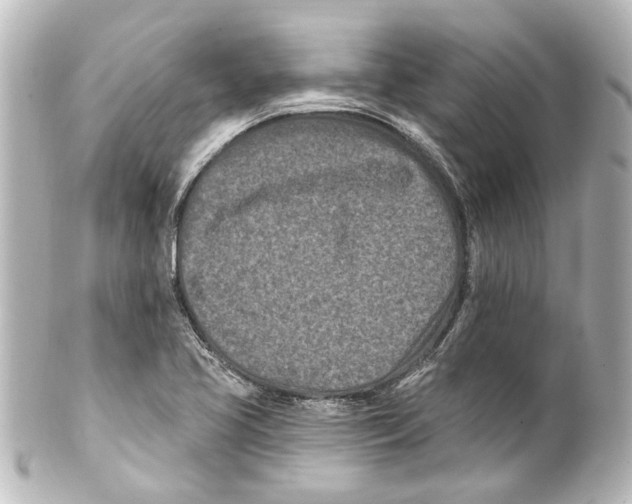 X0000100211413200806271654