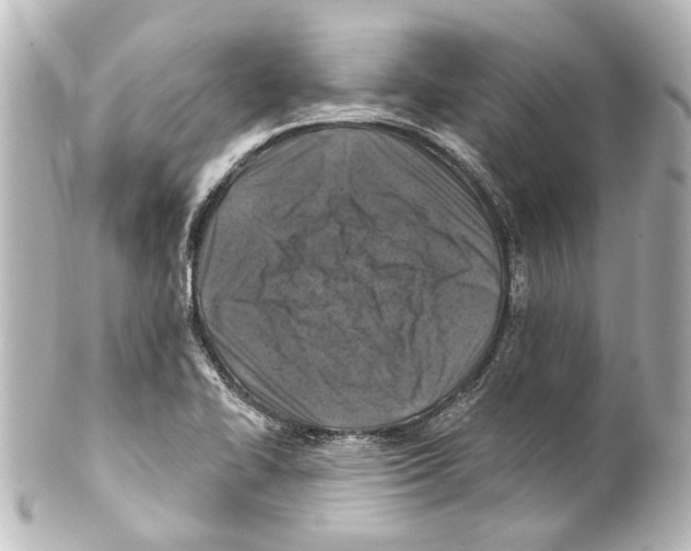 X0000100211414200806271654