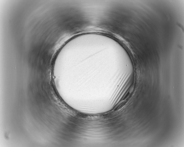 X0000100211415200806271654