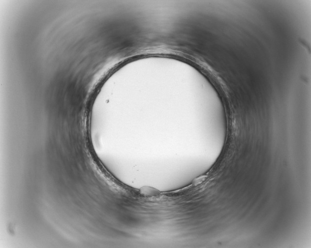 X0000100211416200806271654