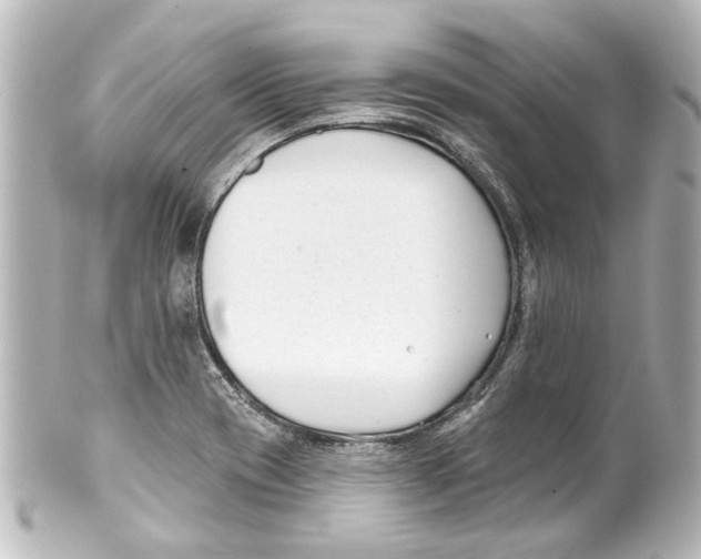 X0000100211417200806271654