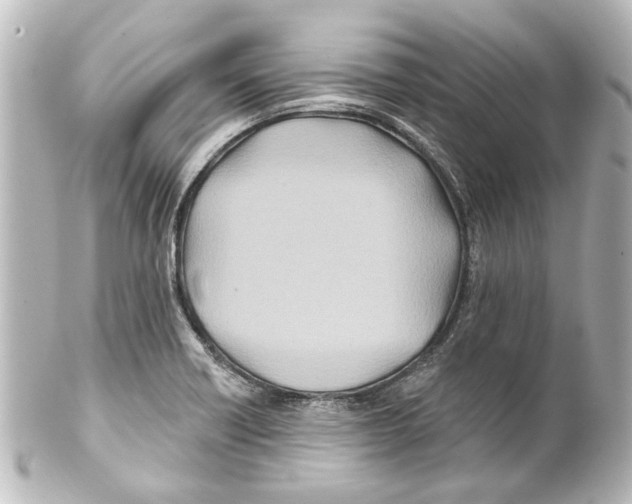 X0000100211418200806271654