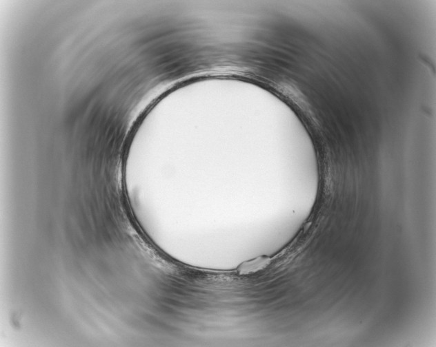 X0000100211420200806271654