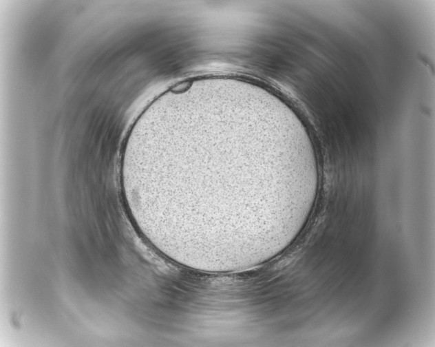 X0000100211421200806271654