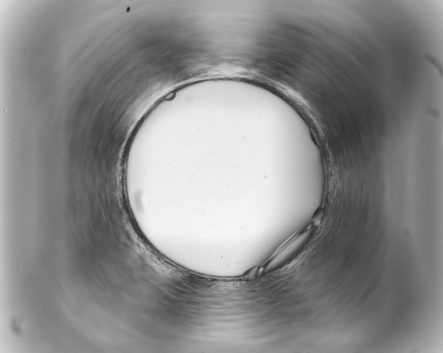 X0000100211423200806271654
