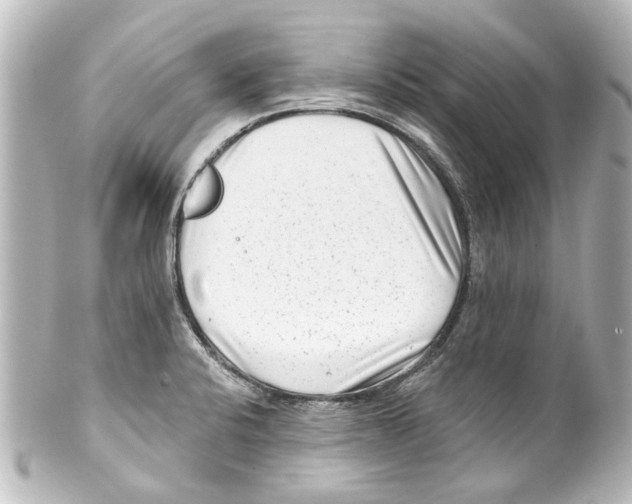 X0000100211424200806271654