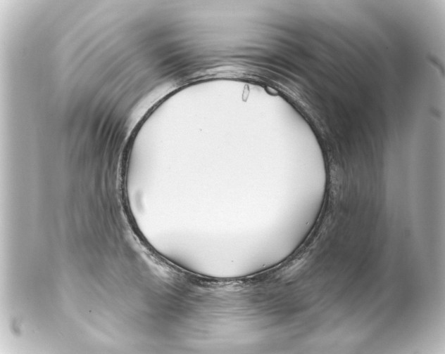 X0000100211426200806271654