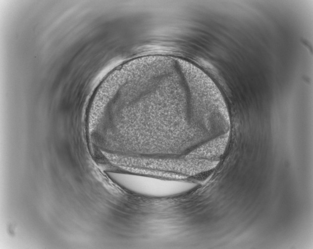 X0000100211427200806271654