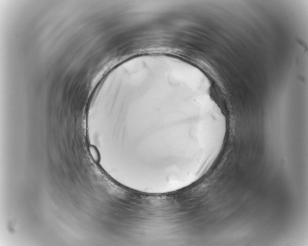 X0000100211428200806271654
