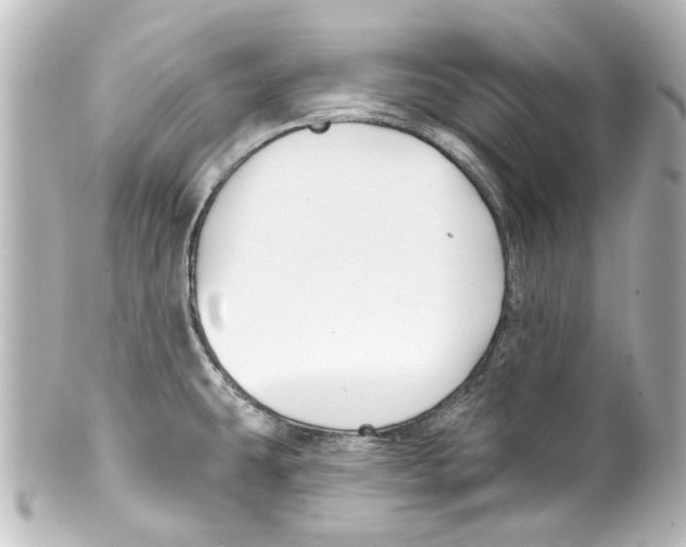 X0000100211431200806271654