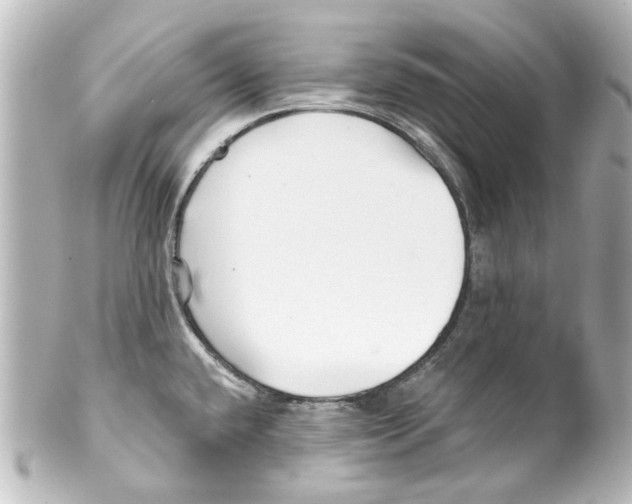 X0000100211432200806271654