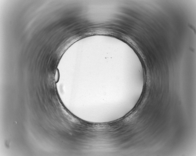 X0000100211433200806271654
